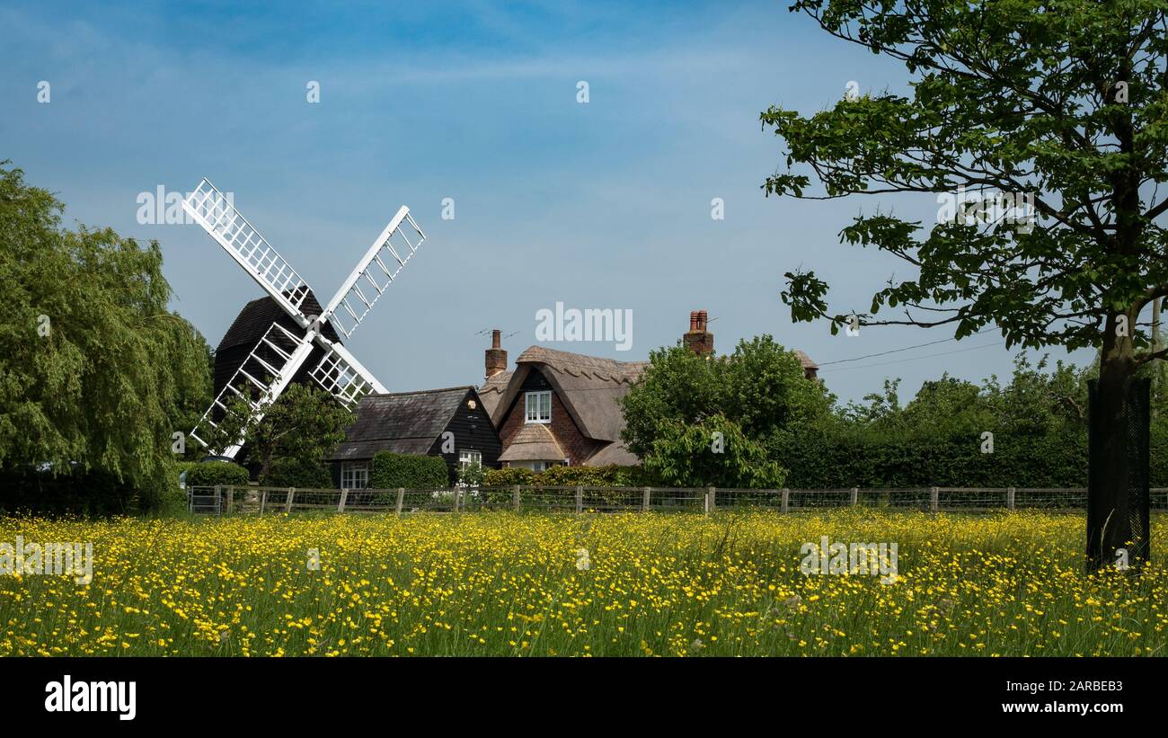 A traditional old English windmill and farm house cottage nestling in the spring English countryside. Cambridgeshire, UK. Stock Photo