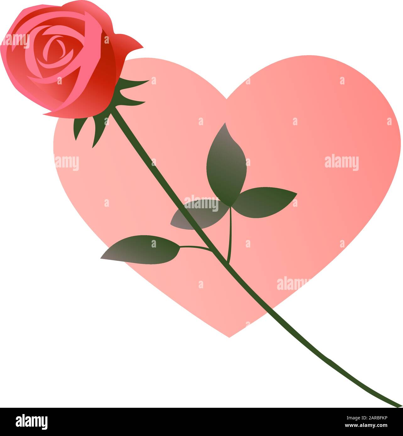 Rose on a background of a heart in love. Beautiful flower for a ...