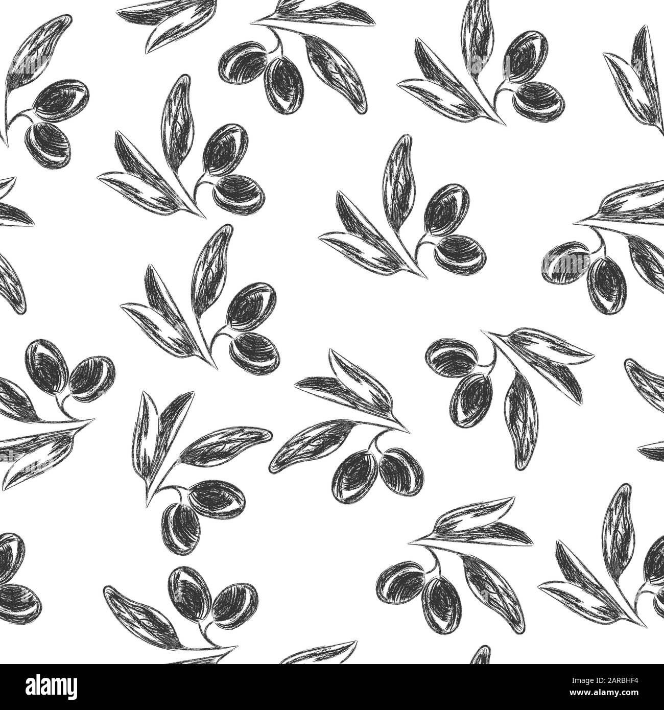 Vector pencil drawing of olive branch isolated on white background in ...