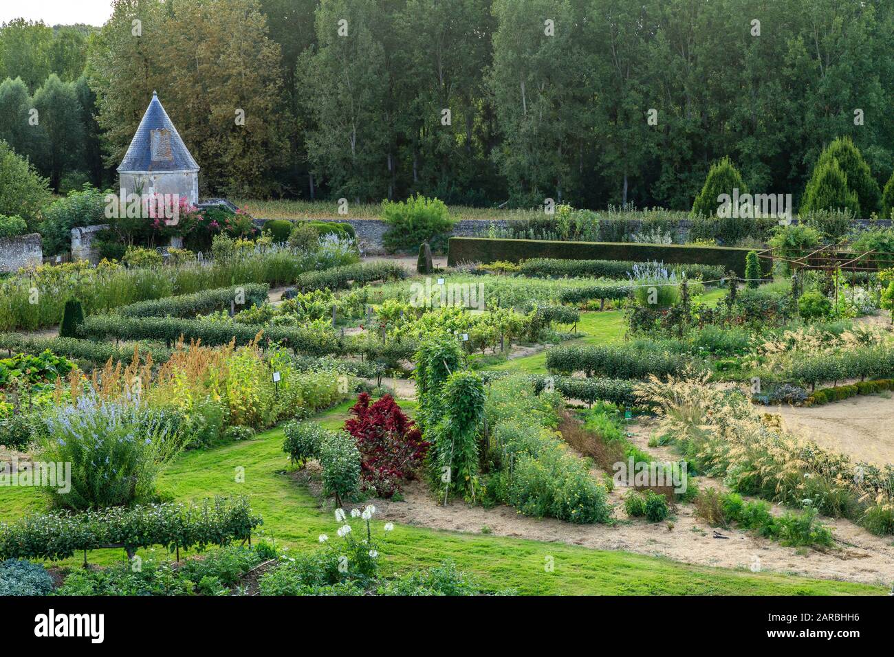 France, Indre et Loire, Chancay, Chateau de Valmer gardens, the vegetable  garden and the Tour de l'Ane // France, Indre-et-Loire (37), Chançay,  jardin Stock Photo - Alamy