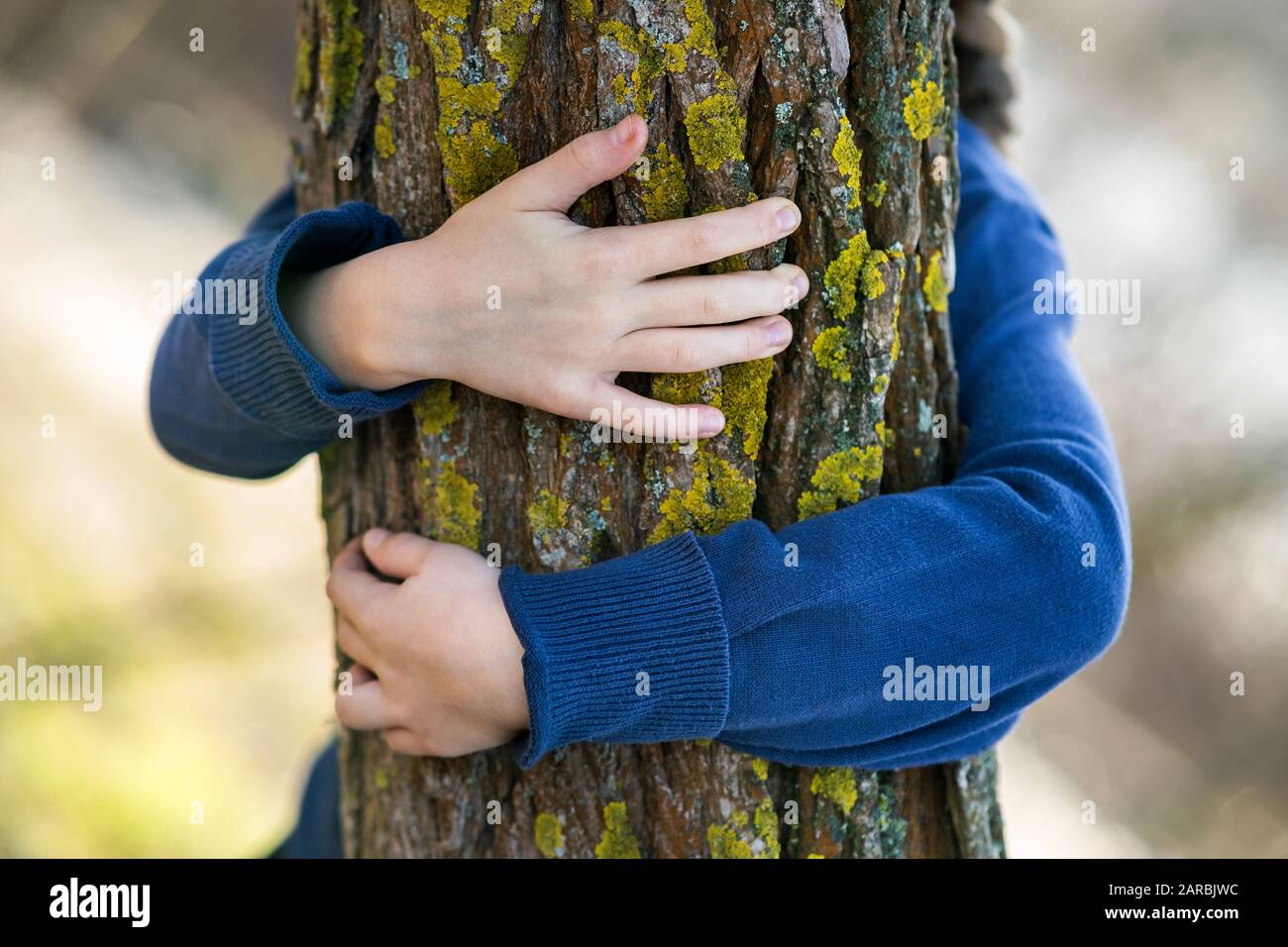 Child arms around tree trunk hi-res stock photography and images - Alamy
