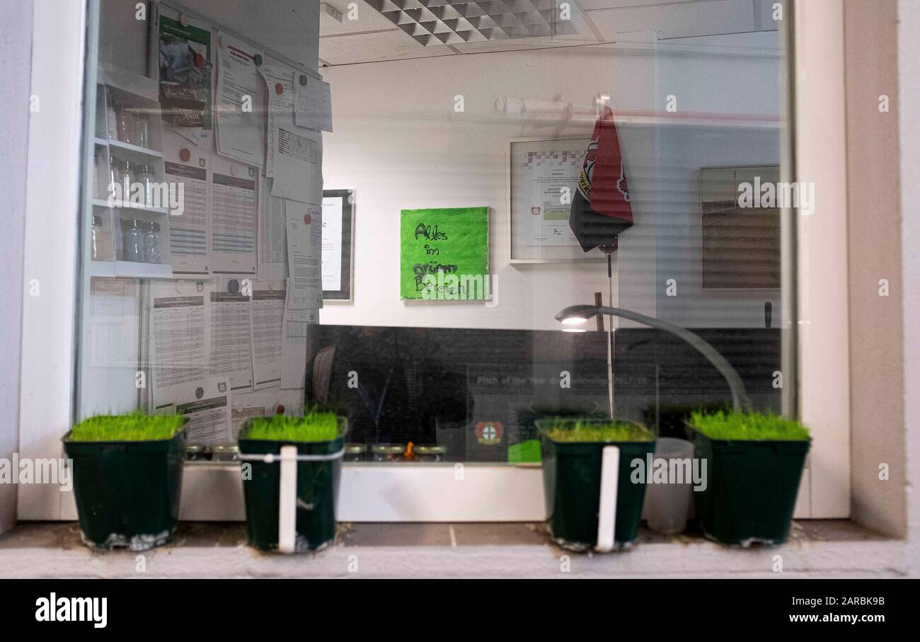 Sports spo soccer stadium green germany hi-res stock photography and ...