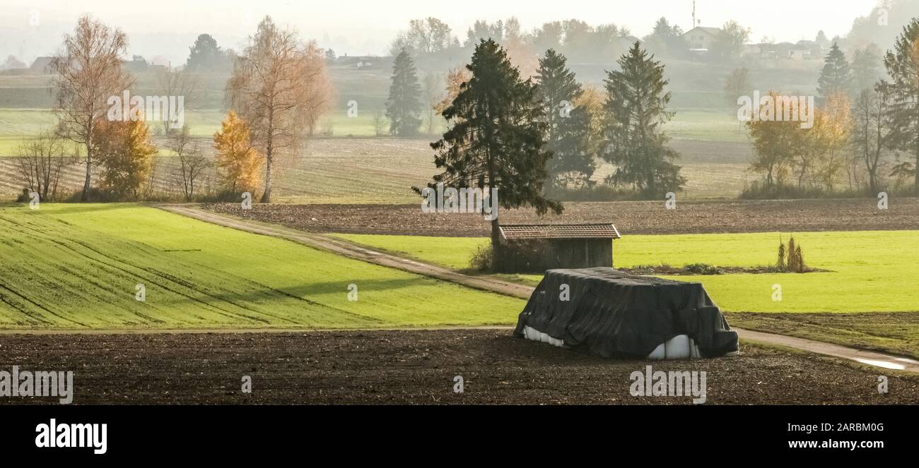 agricultural landscape with country road and trees Stock Photo - Alamy