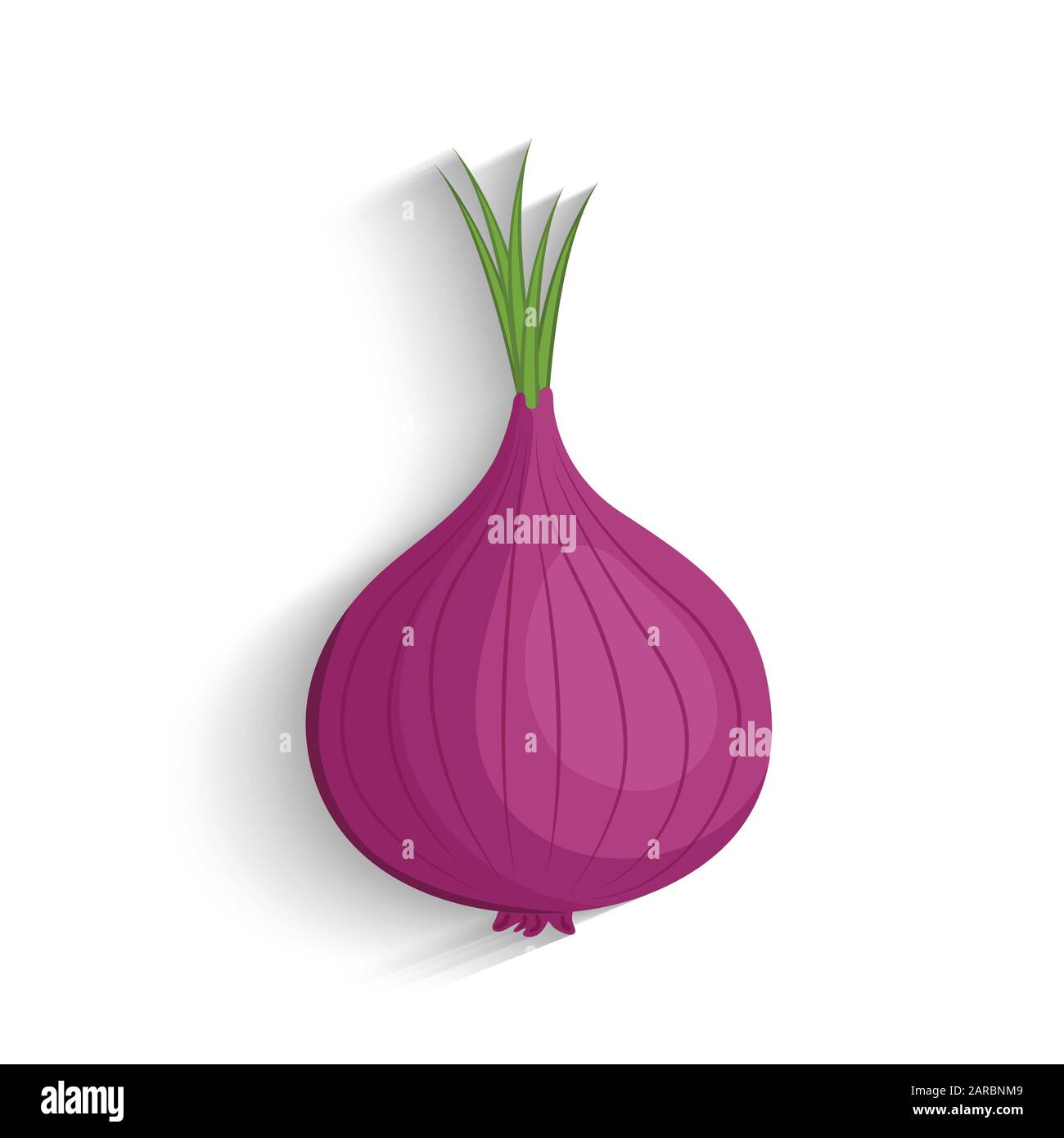 Purple shallots onion 6476681 Vector Art at Vecteezy