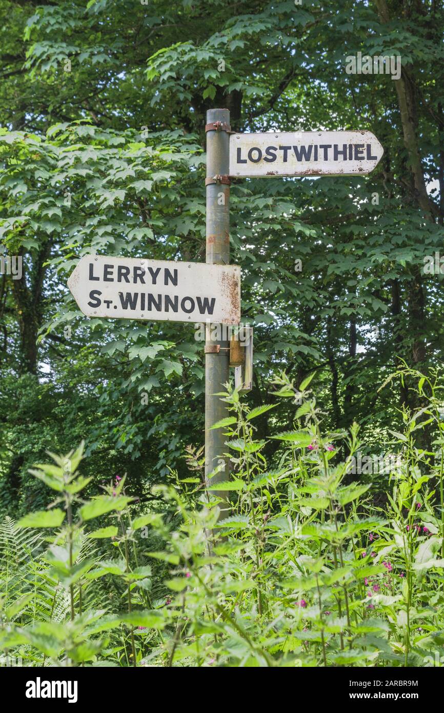 Overgrown rural road sign / roadsign pointing to direction Lostwithiel, Lerryn & St. Winnow in Cornwall. Overgrown by weeds, right direction metaphor. Stock Photo