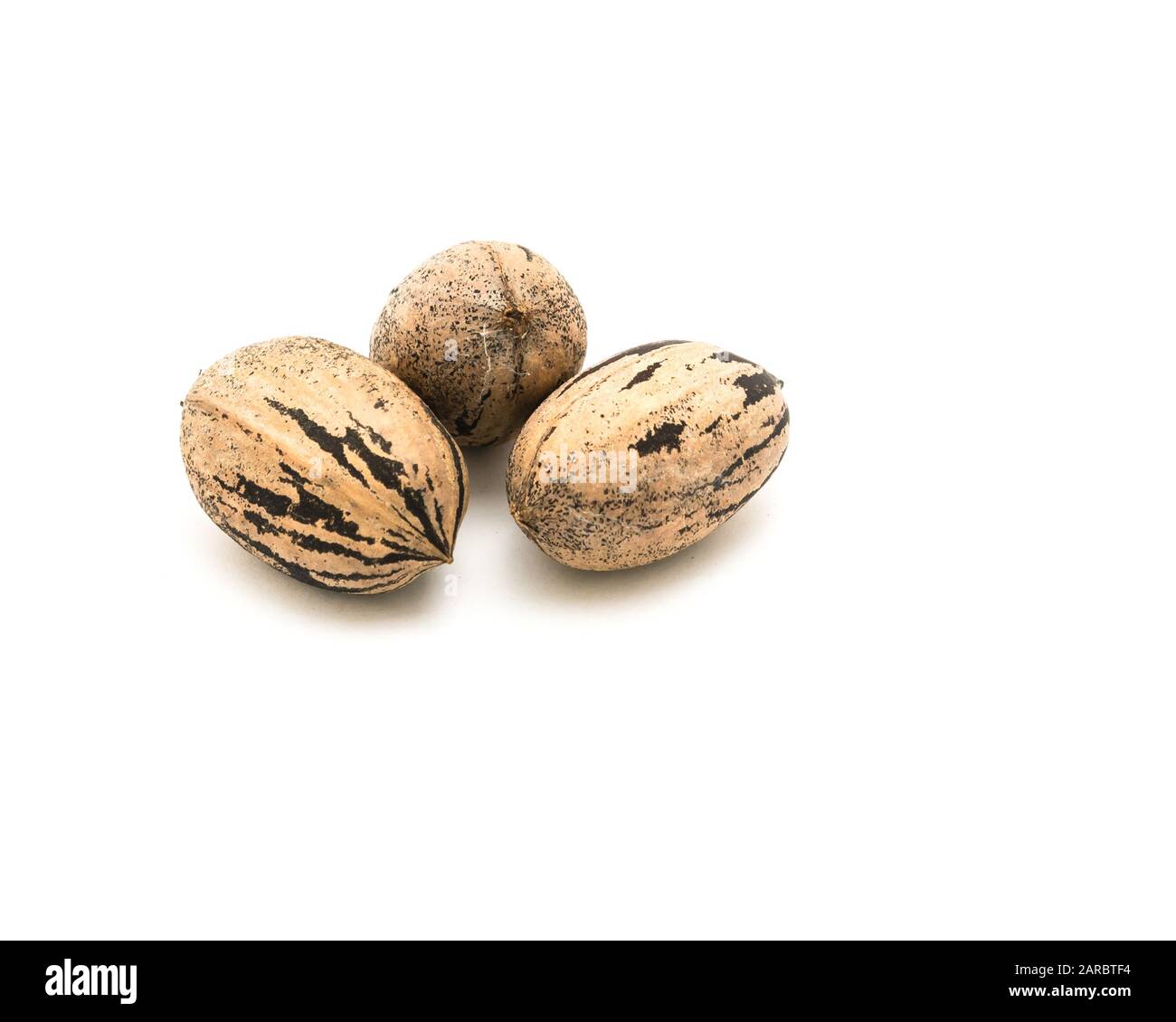 Studio shot three raw organic pecan nuts in-shell isolated on white Stock Photo