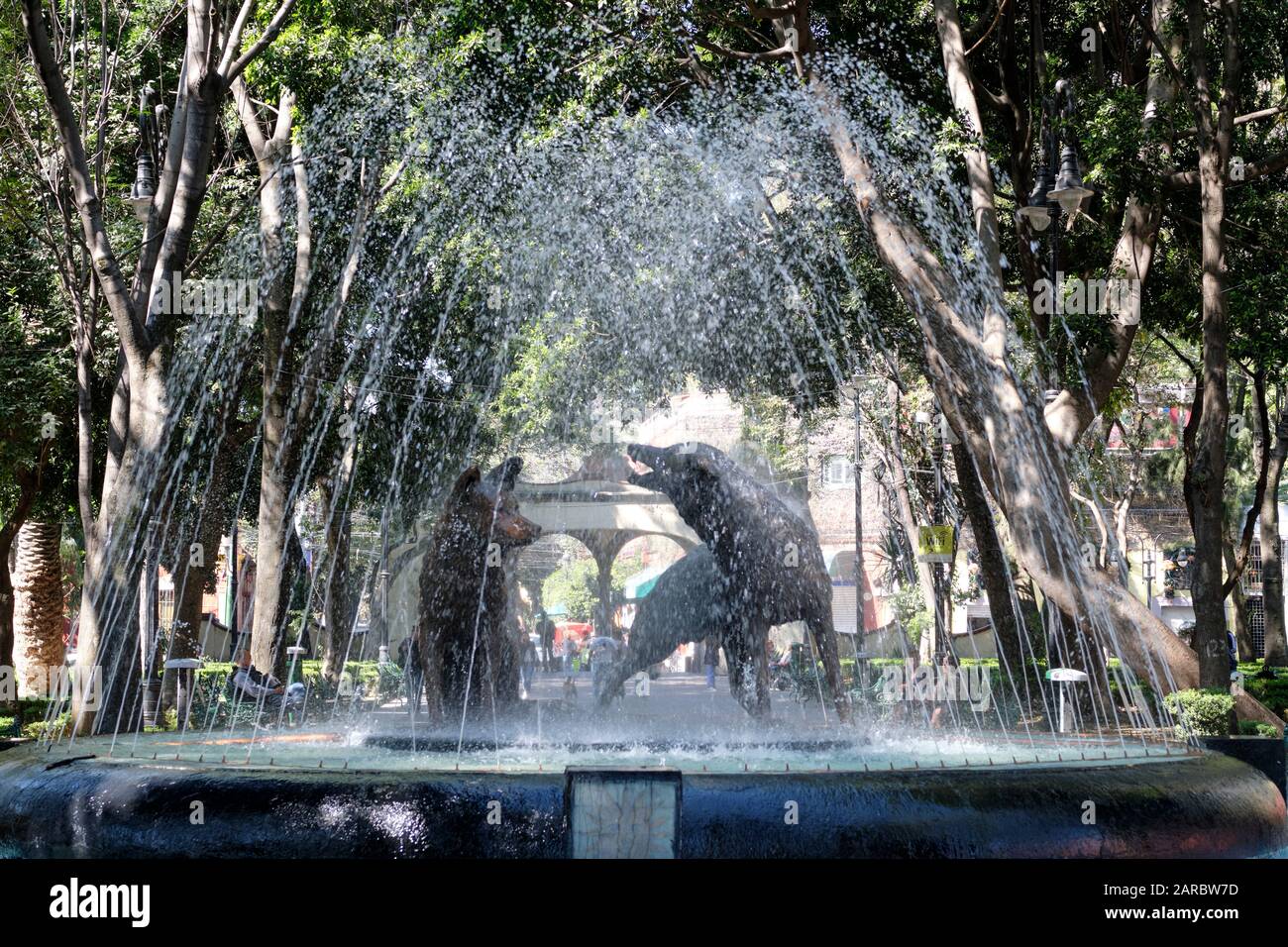 Fountain featuring two coyotes statue in middle in parl filled with trees in the Coyoacan neighbourhood of Mexico City Stock Photo