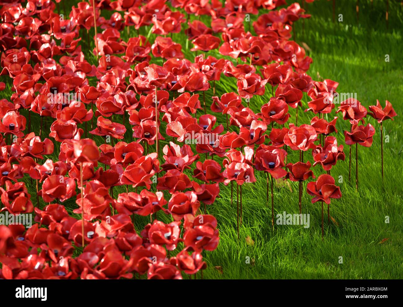 Poppies from Blood Swept Lands and Seas of Red installation at The Tower of London marking 100 years since the 1st World War. Stock Photo