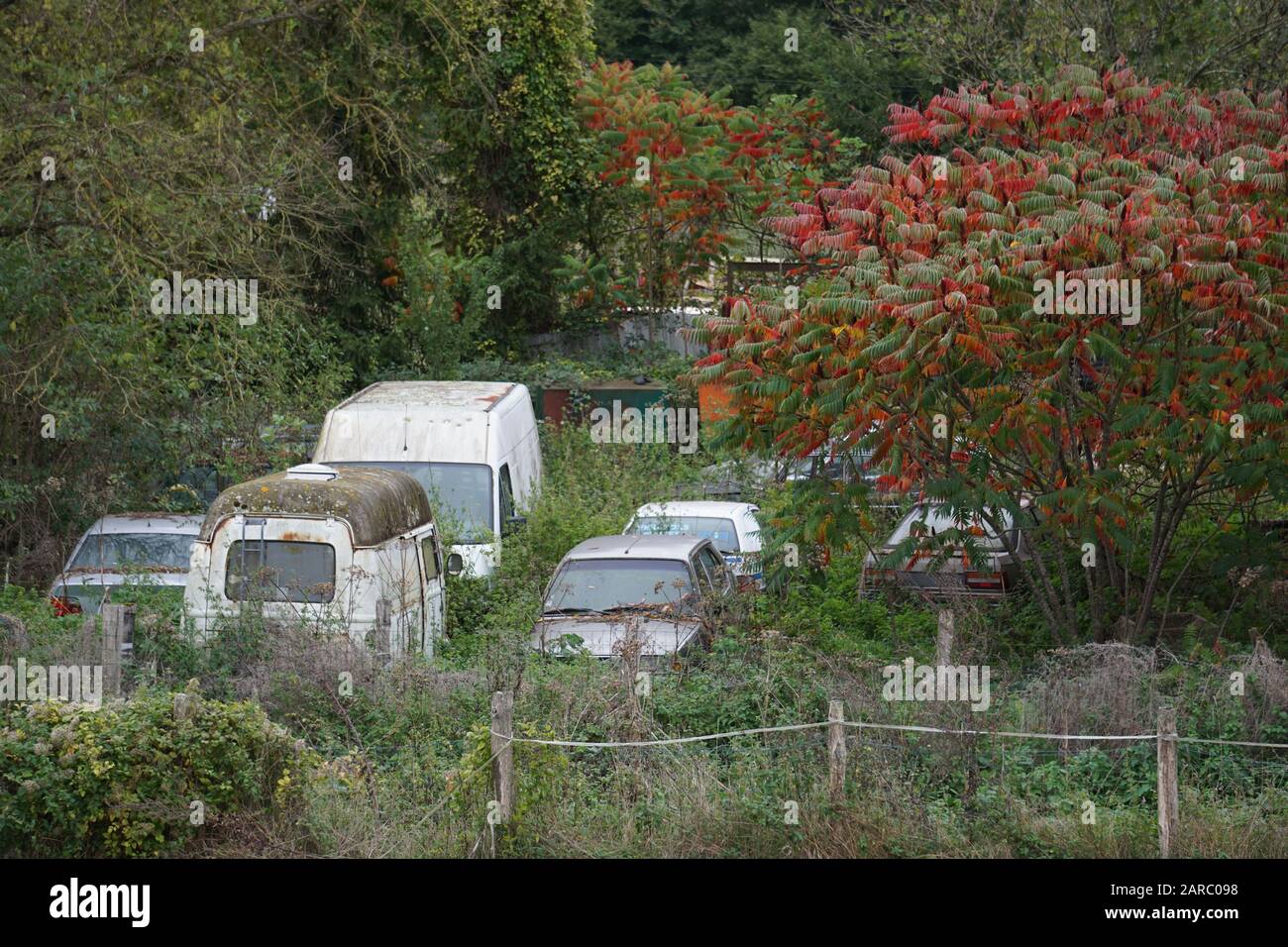 old vintage cars cemetery in the countryside in France Stock Photo