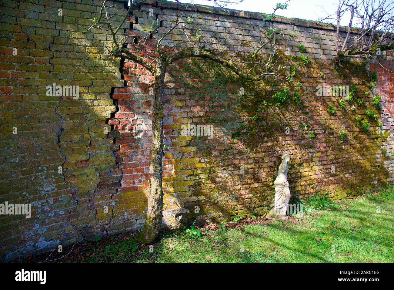 Old garden wall Stock Photo