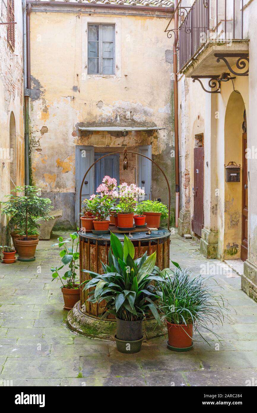 In bloom courtyard hi-res stock photography and images - Alamy