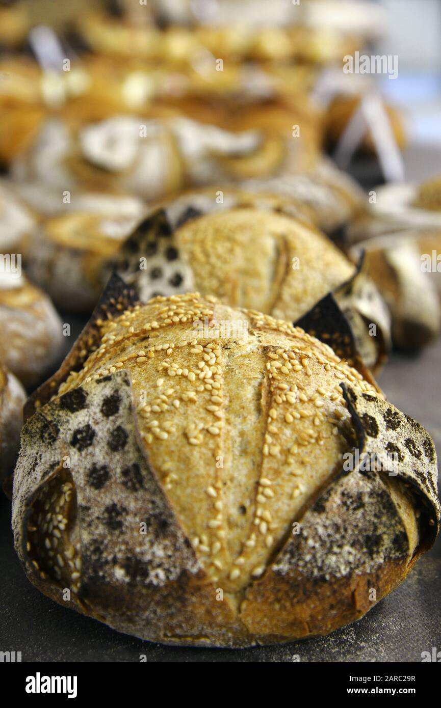 Real French Bread Paris France Stock Photo Alamy