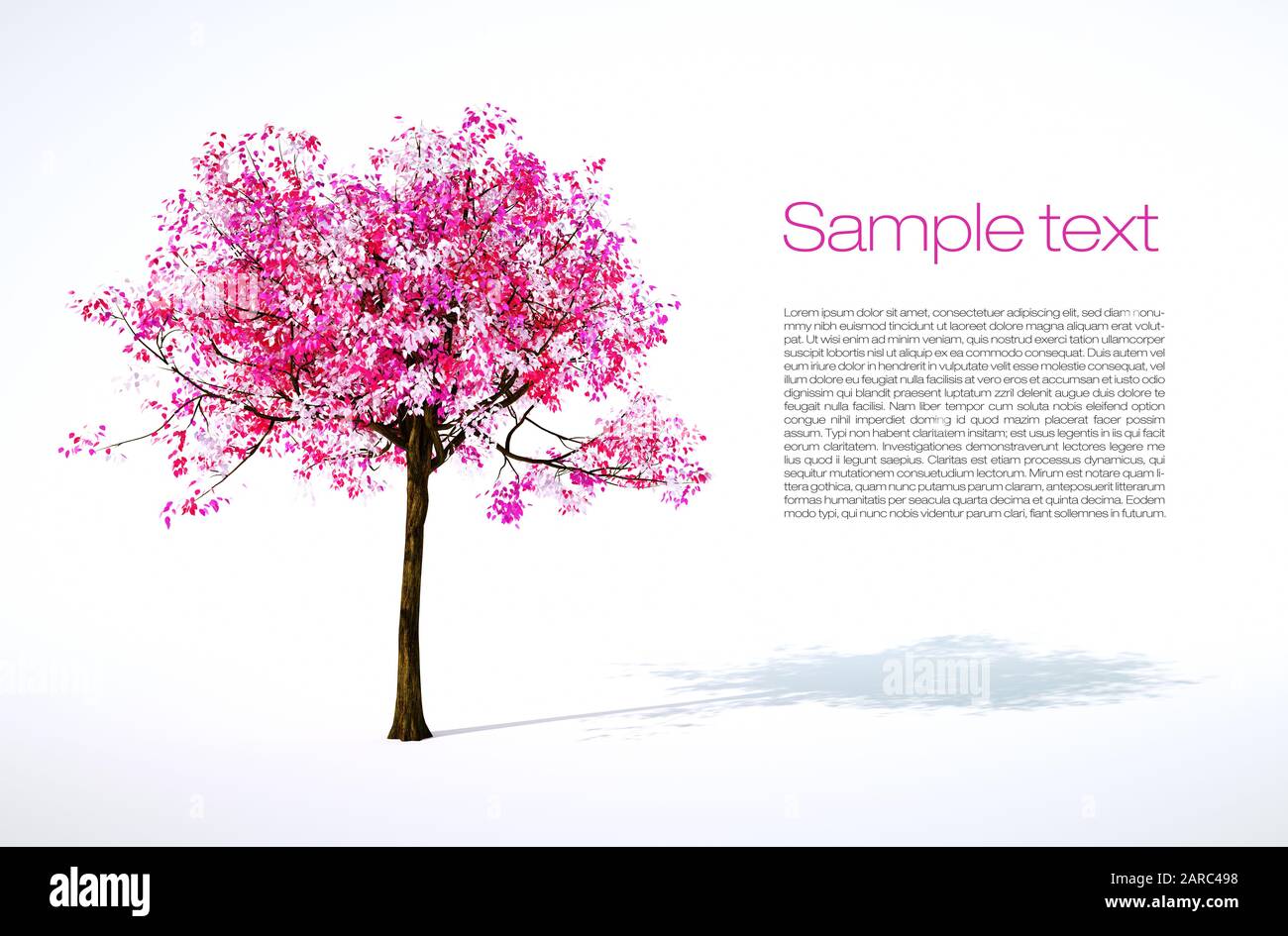 3d render illustration of isolated spring tree with text Stock Photo