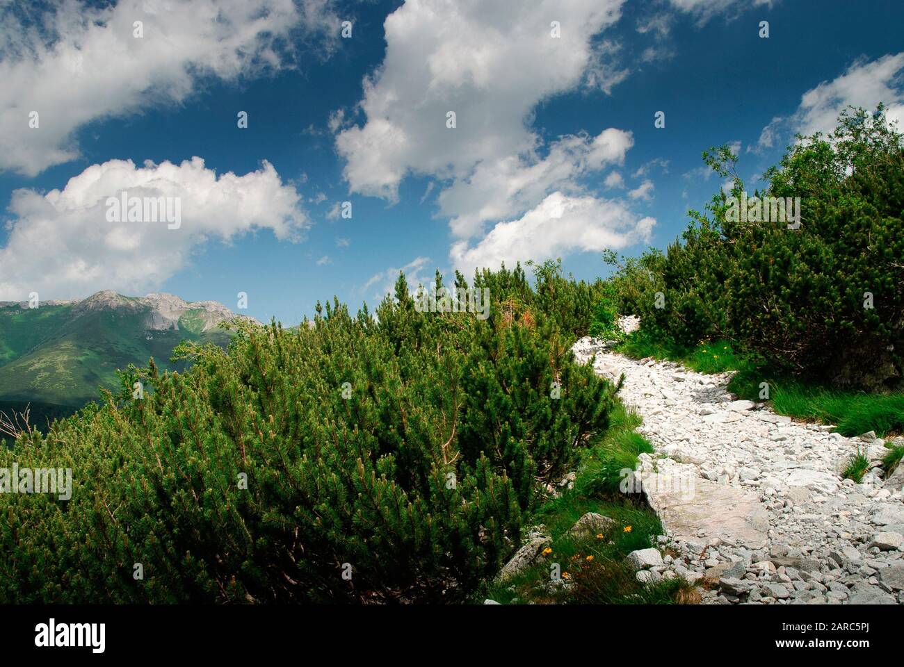 Rough alpine hi-res stock photography and images - Alamy