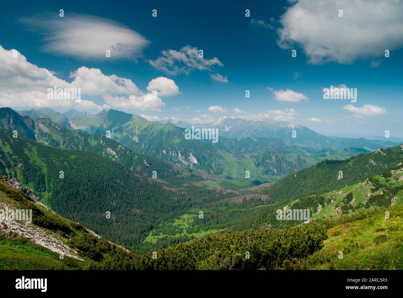 View into a valley in Tatra mountines Stock Photo