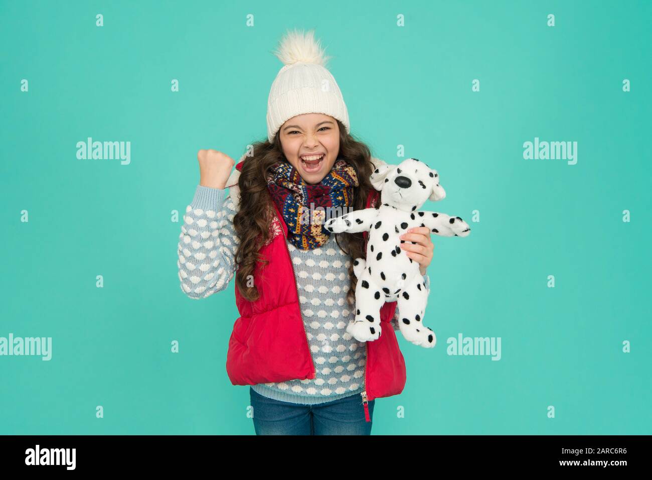 Pets Shop High Resolution Stock Photography And Images Alamy