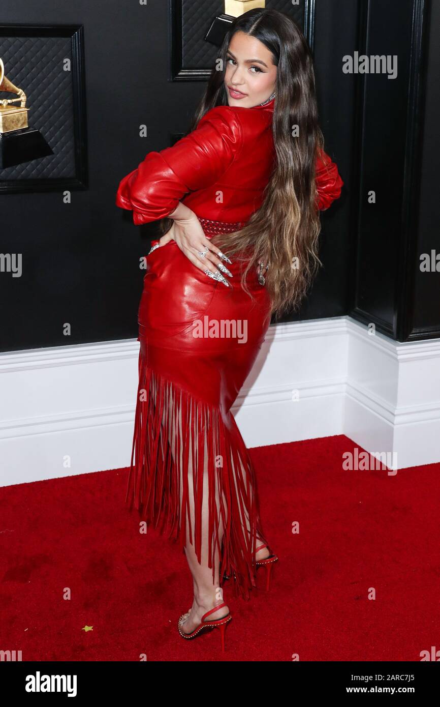 alexander wang outfits