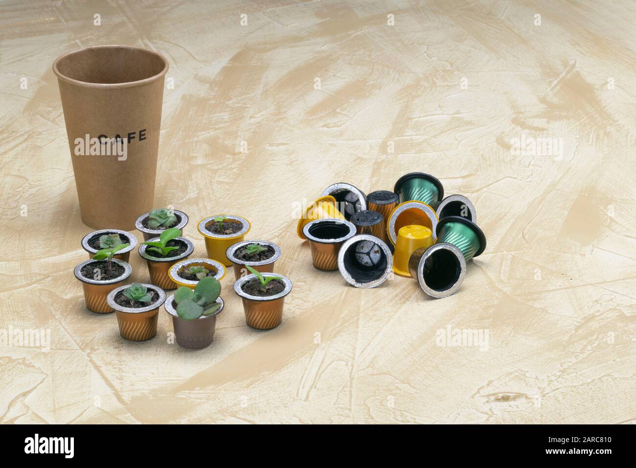Recyclable cardboard coffee cup next to coffee capsules made plant pots