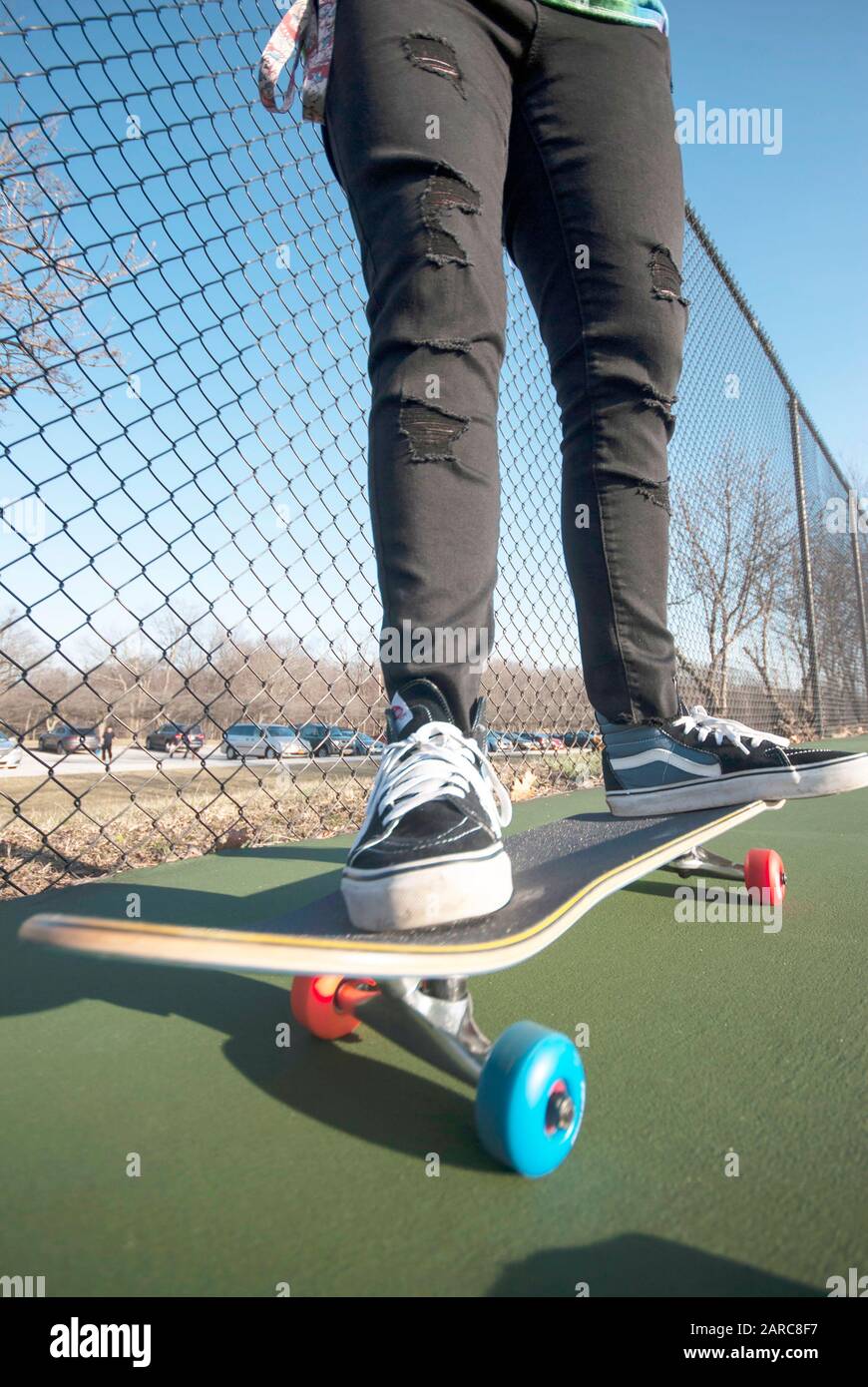 Person in vans sneakers standing on a skateboard with colored wheels Stock  Photo - Alamy