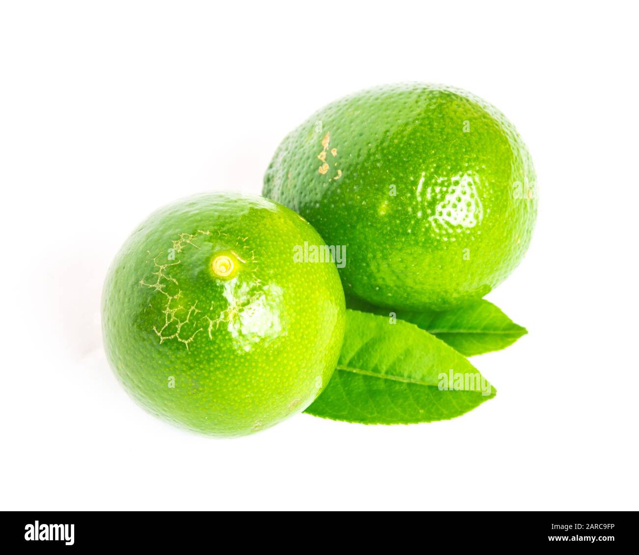 Studio shot two Asian green limes with leaves isolated on white Stock Photo