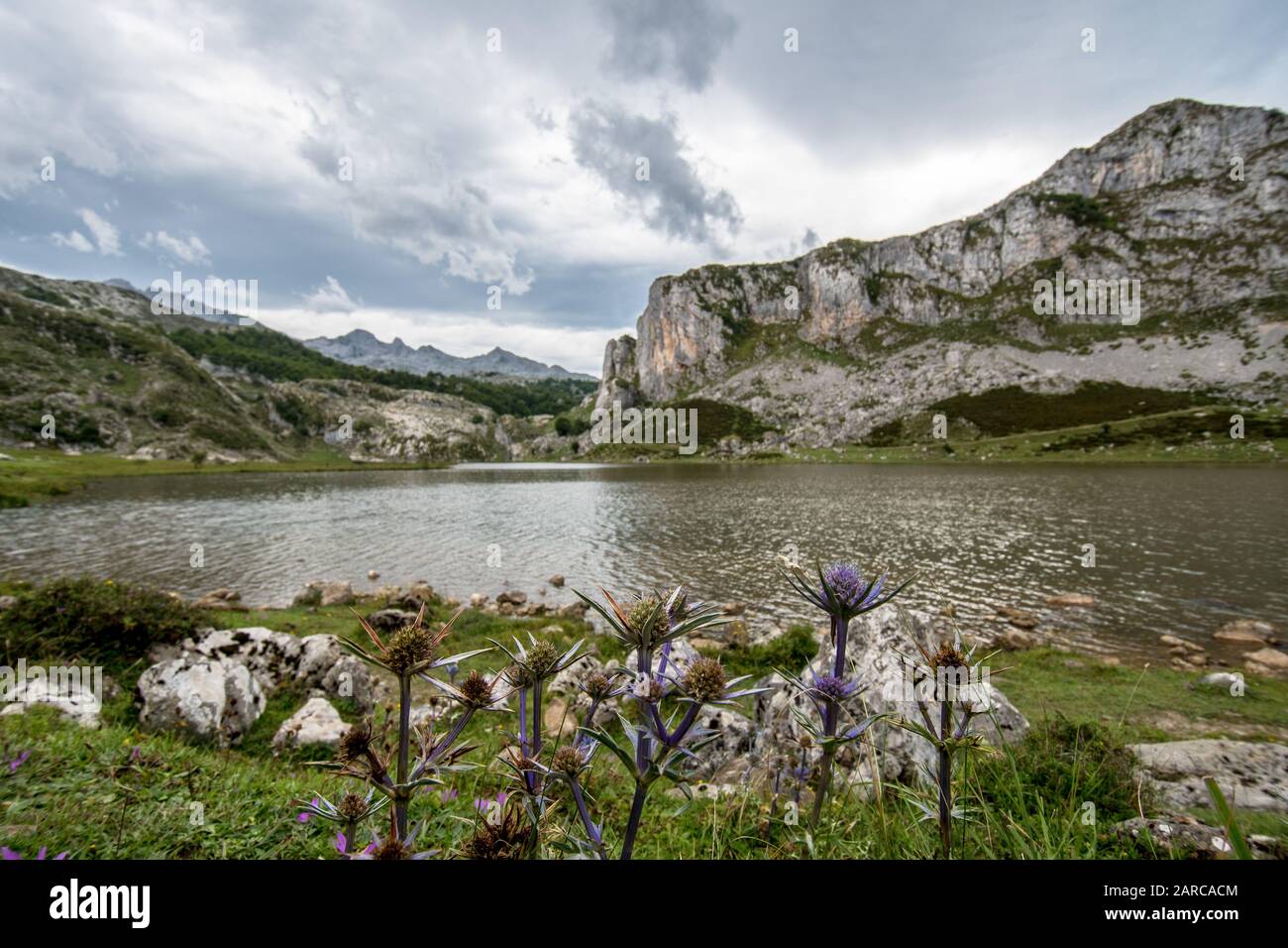 Tranquil scenery hi-res stock photography and images - Alamy