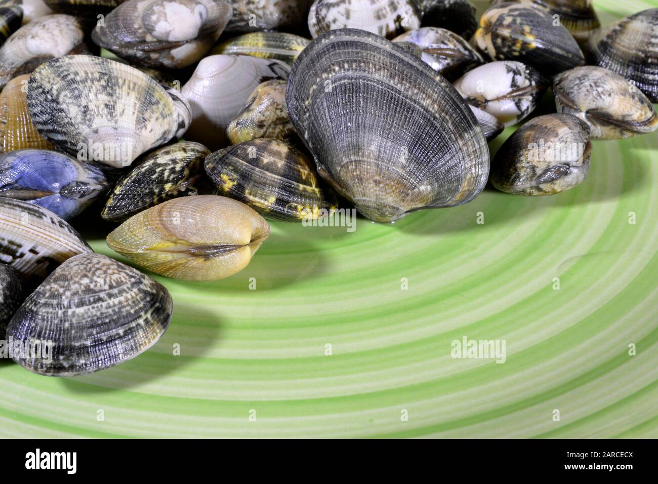 Italian food fresh clams on the plate ready to cook Stock Photo Alamy