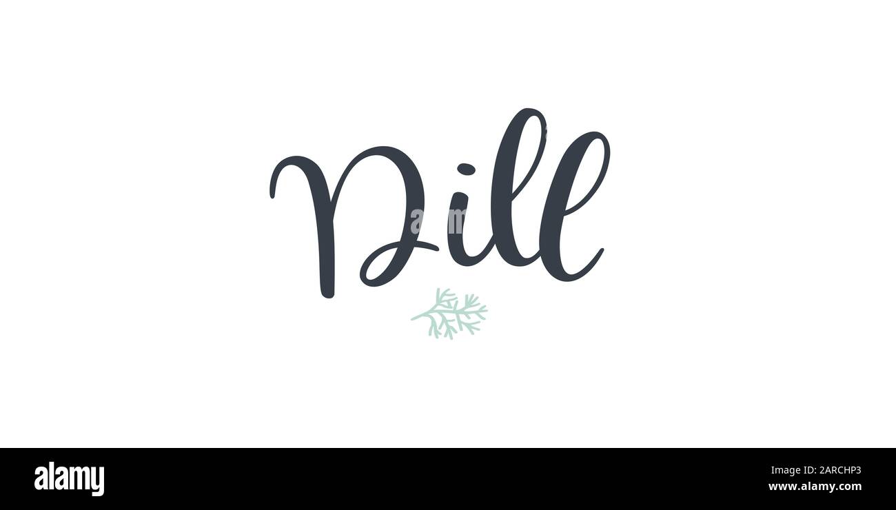 Dill text hand drawn lettering isolated on white background. Stock Vector