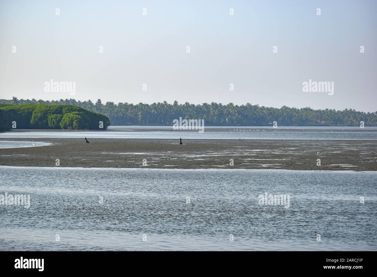 Scenic view of mangrove trees, coastal blue waters and clear blue sky Stock Photo