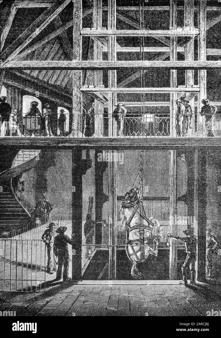 19th century illustration of a pit pony / mining horse strapped in a harness and being lowered down a coal mine shaft Stock Photo