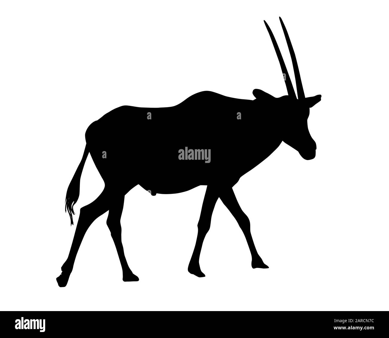Realistic illustration of silhouettes of gazelle or antelope. Horned oryx standing - vector Stock Vector