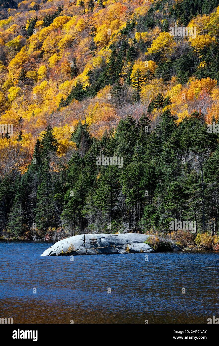 Beaver Pond in Black Mountain State Forest. Stock Photo