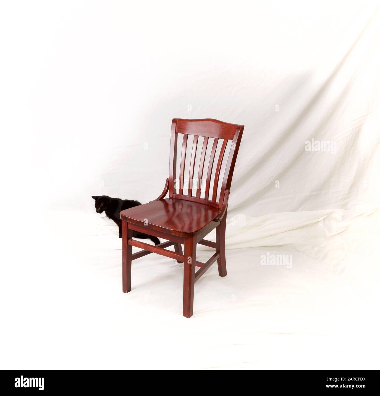 An empty red wooden chair with black cat sitting behind it on white cloth  studio background Stock Photo - Alamy