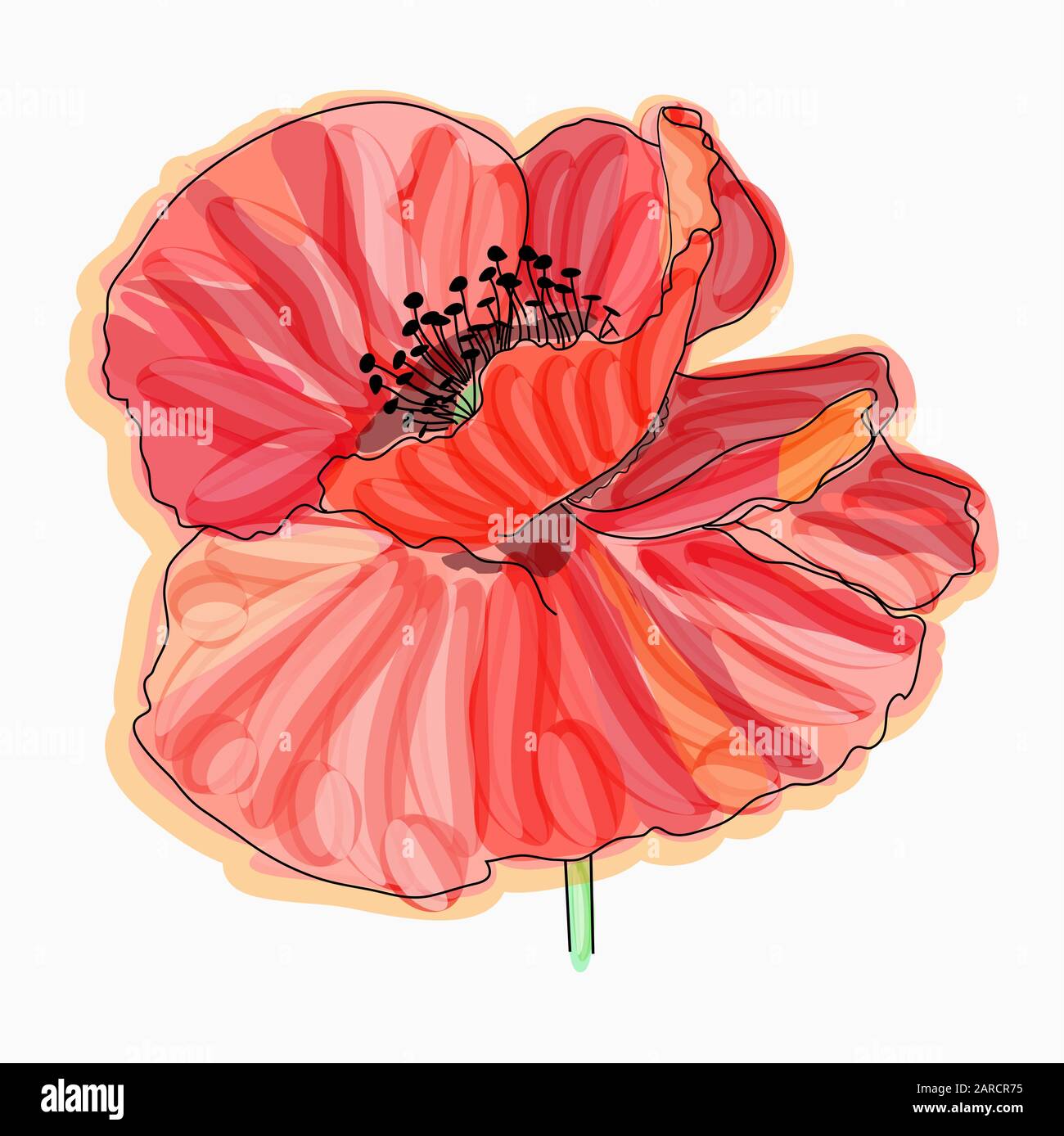 Watercolor Pencil Poppies