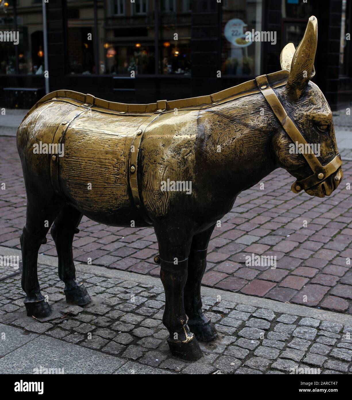 a brass figure of a donkey near the Old Market Square in Torun, Poland