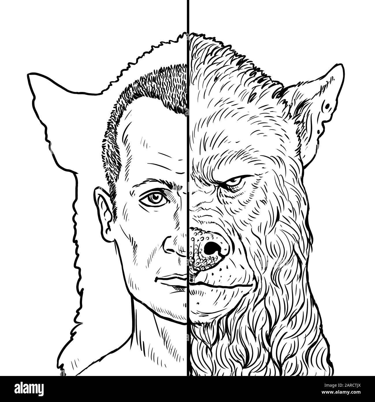 Man turns into a werewolf. Two sides of the soul. Monster silhouette illustration. Stock Photo