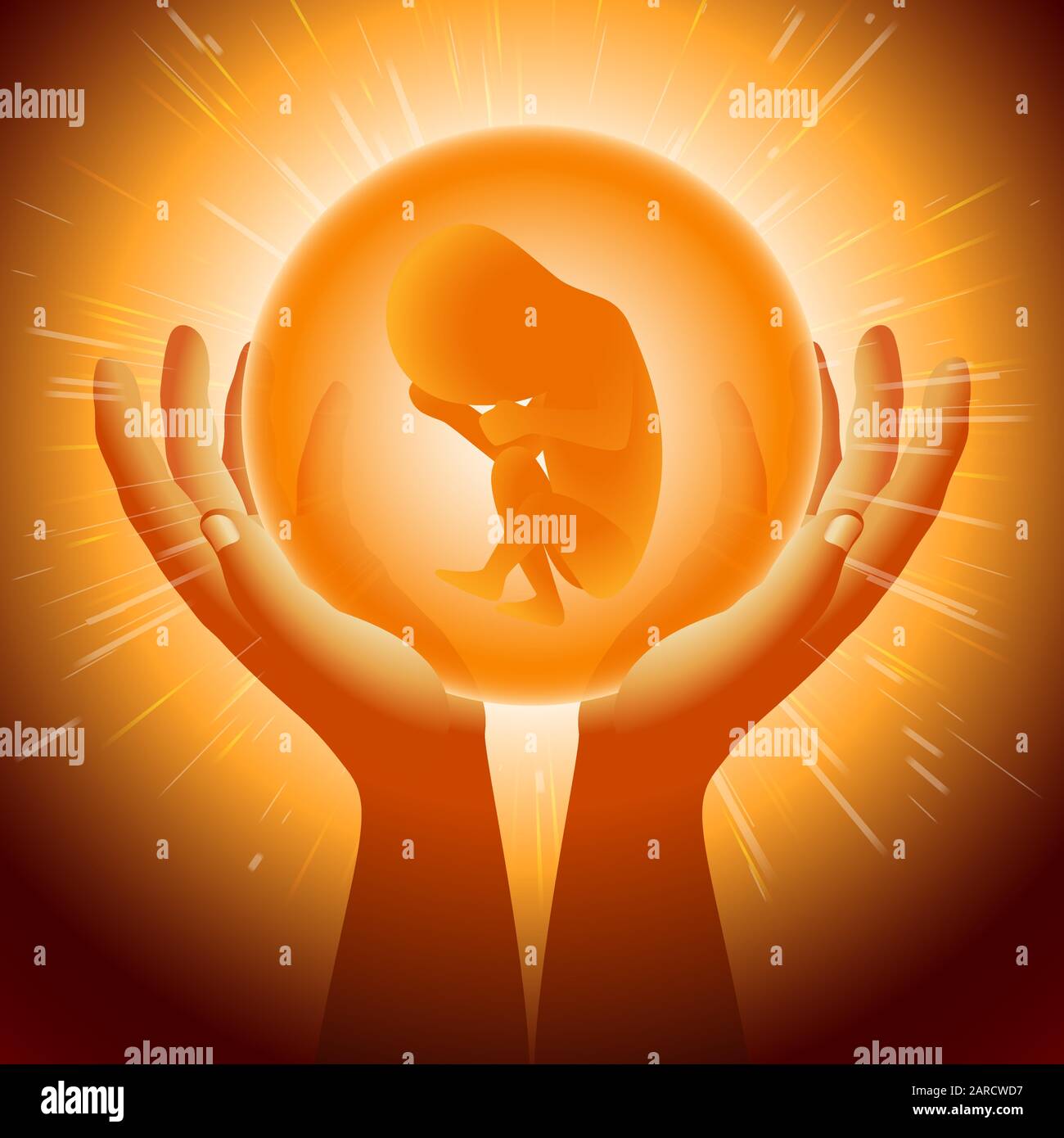 new season of ninjago