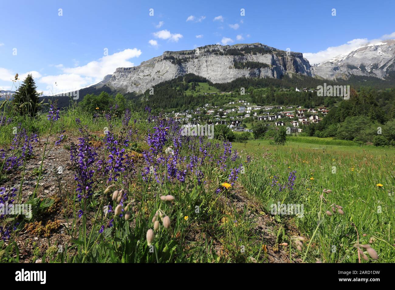 Switzerland flims alps village mountains hi-res stock photography and ...