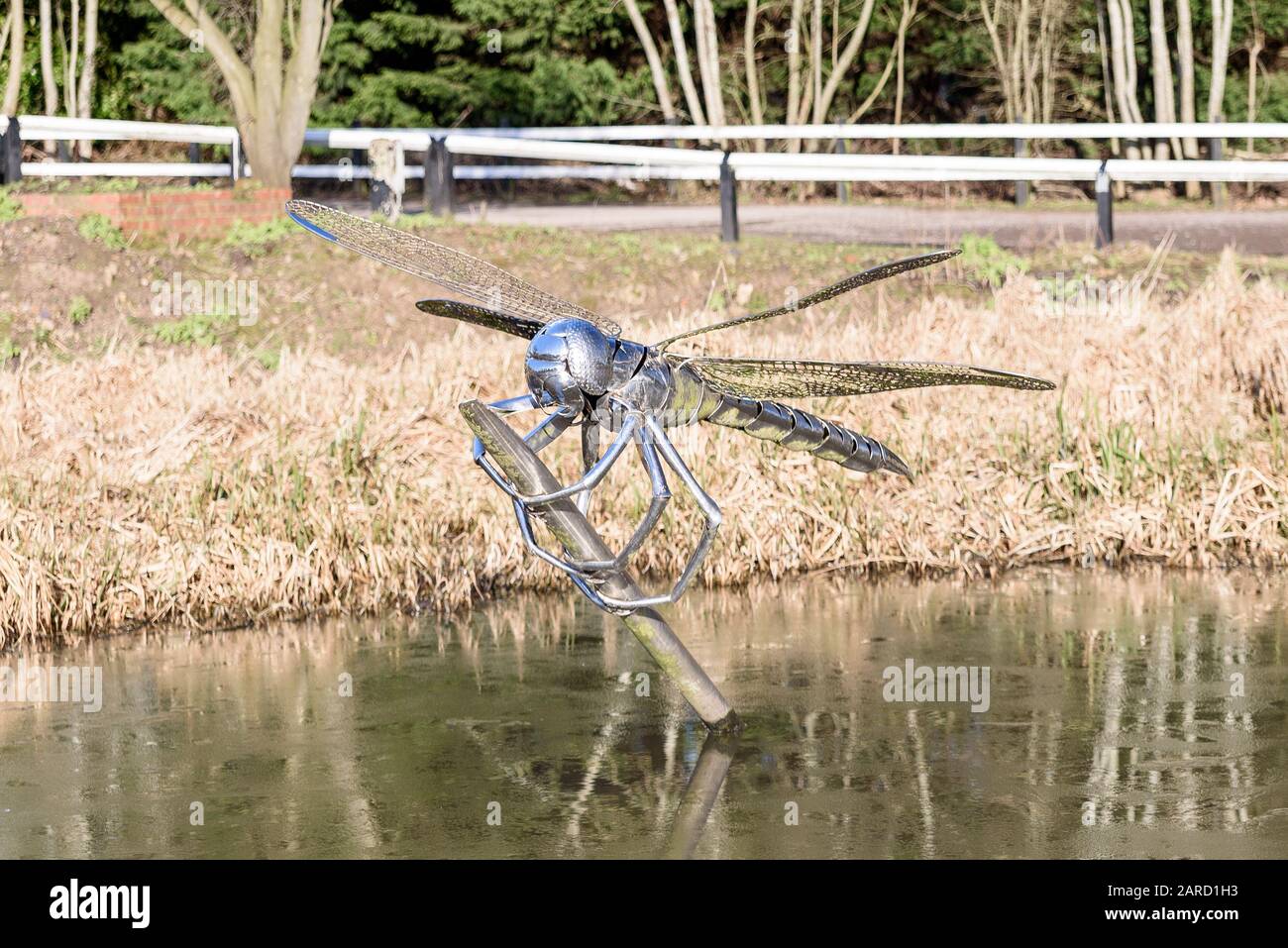 A silver stainless steel sculpture of a dragonfly in a pond with grass behind, at Hatton Locks. Stock Photo