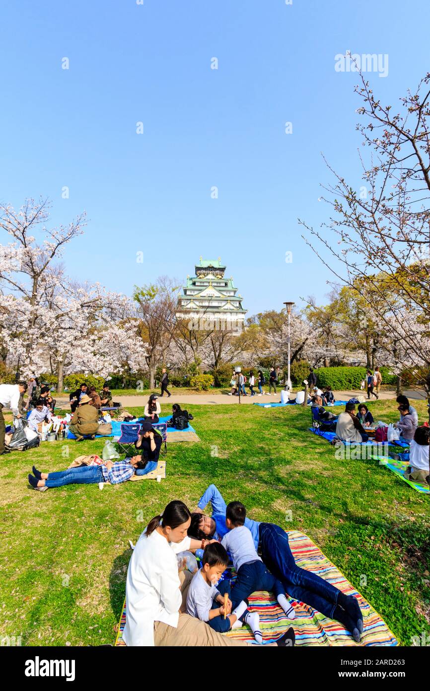 Japan, springtime cherry blossoms at the Nishinomaru Garden, Osaka