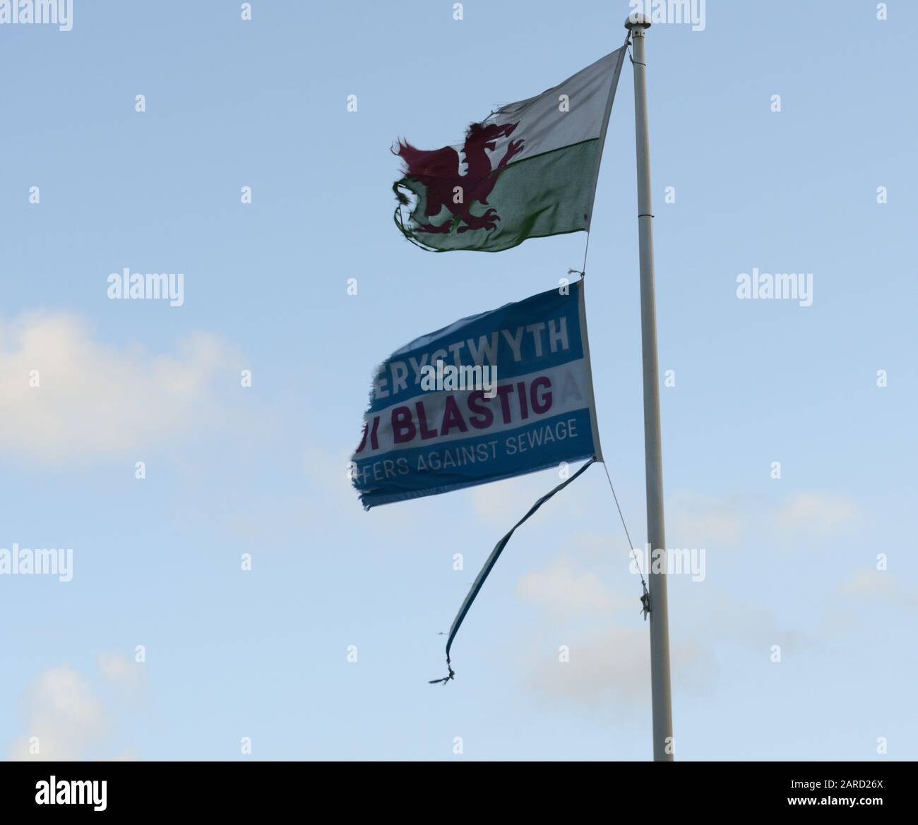 Aberystwyth Ceredigion Wales UK January 17 2019: Tatty and torn Welsh Dragon flag and Welsh Aberystwyth Plastic Free (Di Blastig) Stock Photo