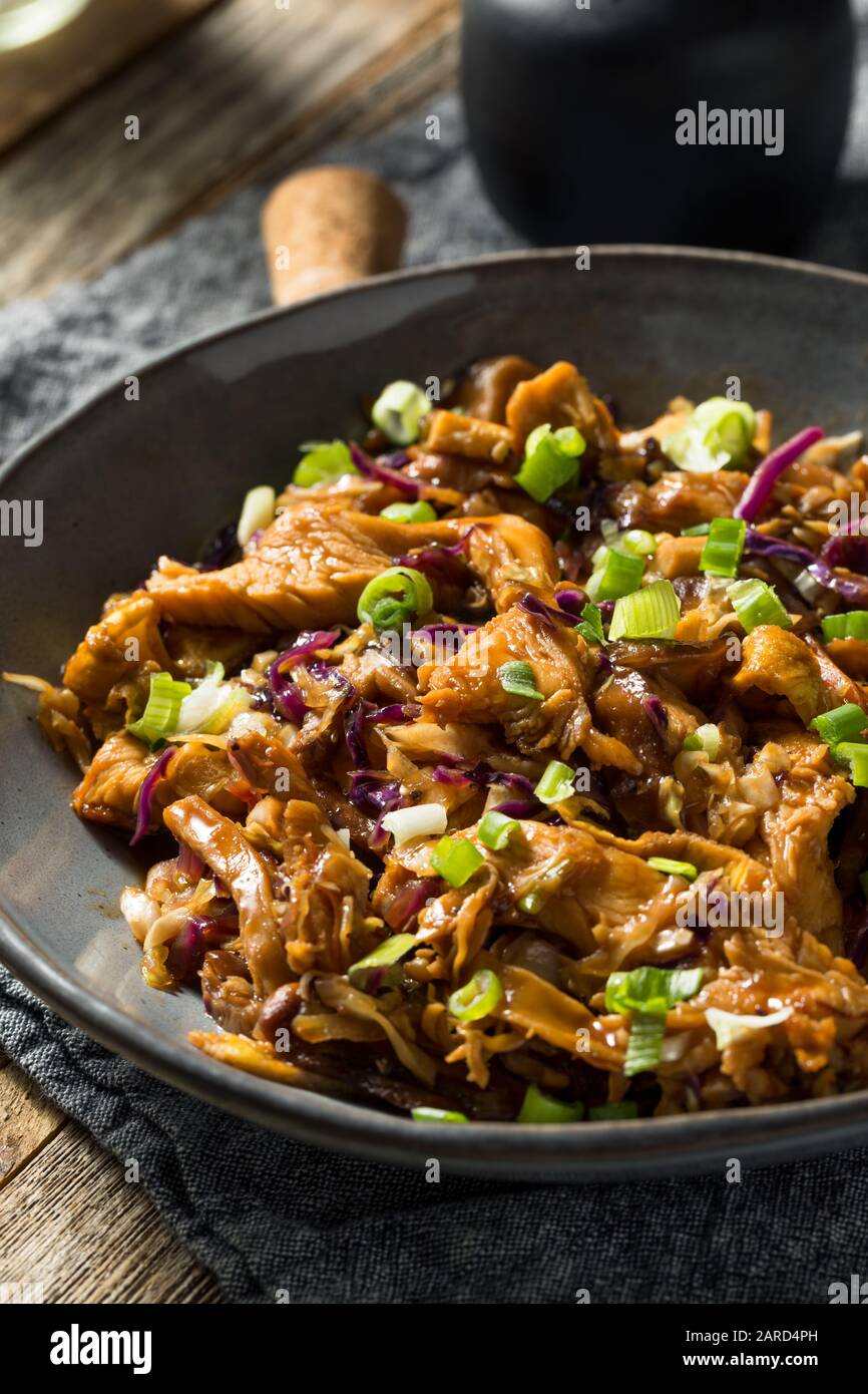 Homemade Chinese Mu Shu Pork with Scallions and Cabbage Stock Photo