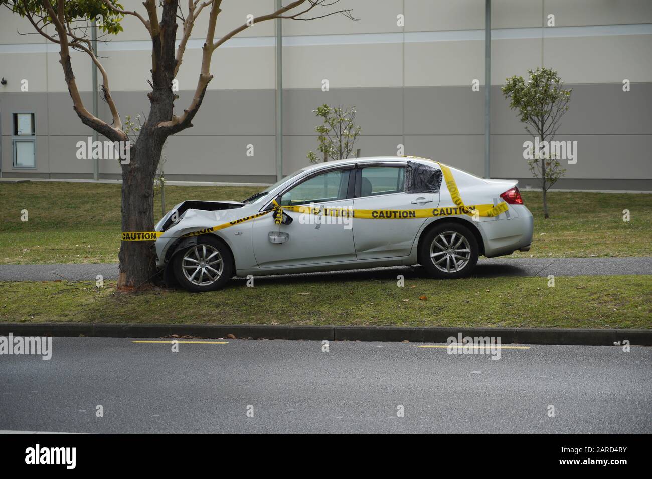 Silver sedan car mounted pavement crash crashed head on into tree yellow caution warning tape wrapped around, Auckland, New Zealand. Stock Photo