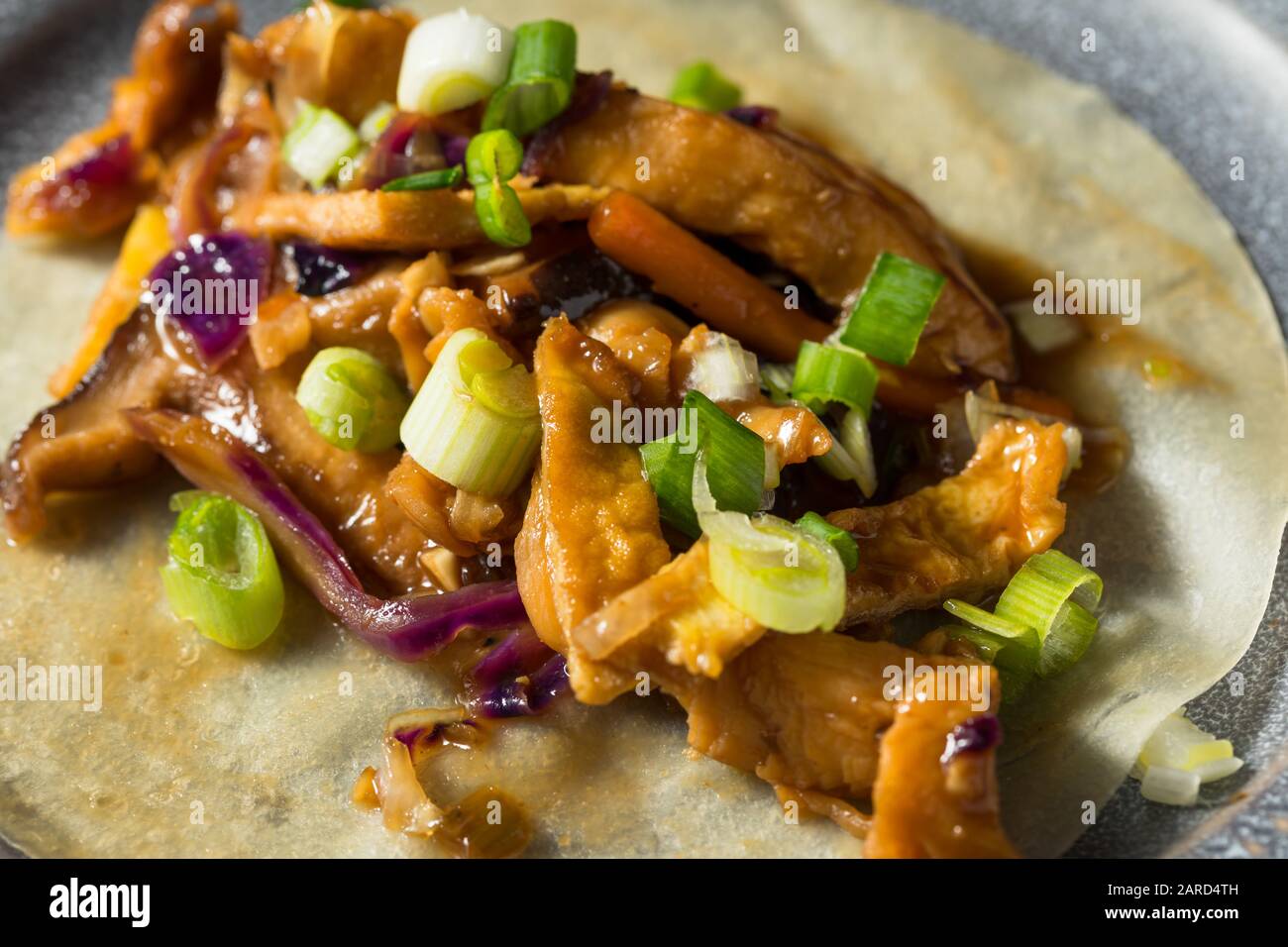 Homemade Chinese Mu Shu Pork with Scallions and Cabbage Stock Photo
