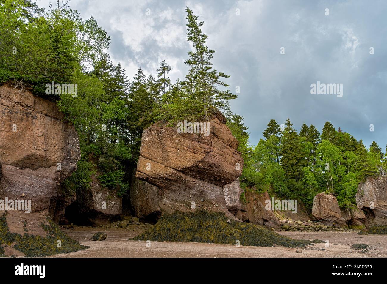 The Hopewell Rocks, commonlycalled the Flowerpots Rocks are rock ...
