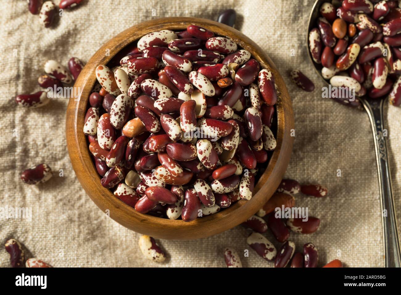Raw Red Organic Cattle Beans in a Bowl Stock Photo Alamy