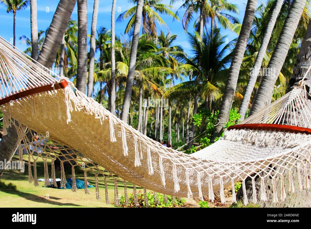 Hammock between two palm trees hires stock photography and images Alamy