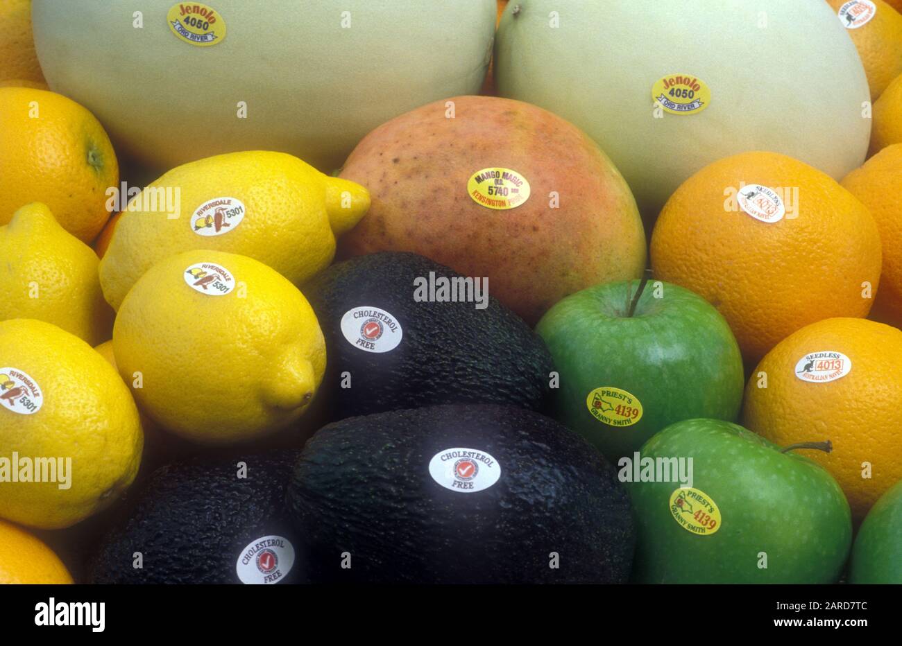 HARVESTED FRESH MIXED FRUIT (GRANNY SMITH APPLES, AVOCADOS, MELONS, NAVAL ORANGES AND LEMONS, CARRYING GROWERS SEEDLESS AND CHOLESTEROL FREE LABELS. Stock Photo