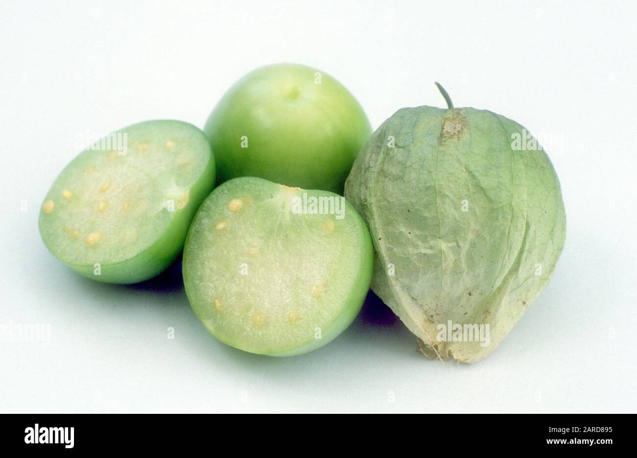 THE GREEN FORM OF THE FRUIT TOMATILLO (PHYSALIS IXOCARPA) A PERENNIAL