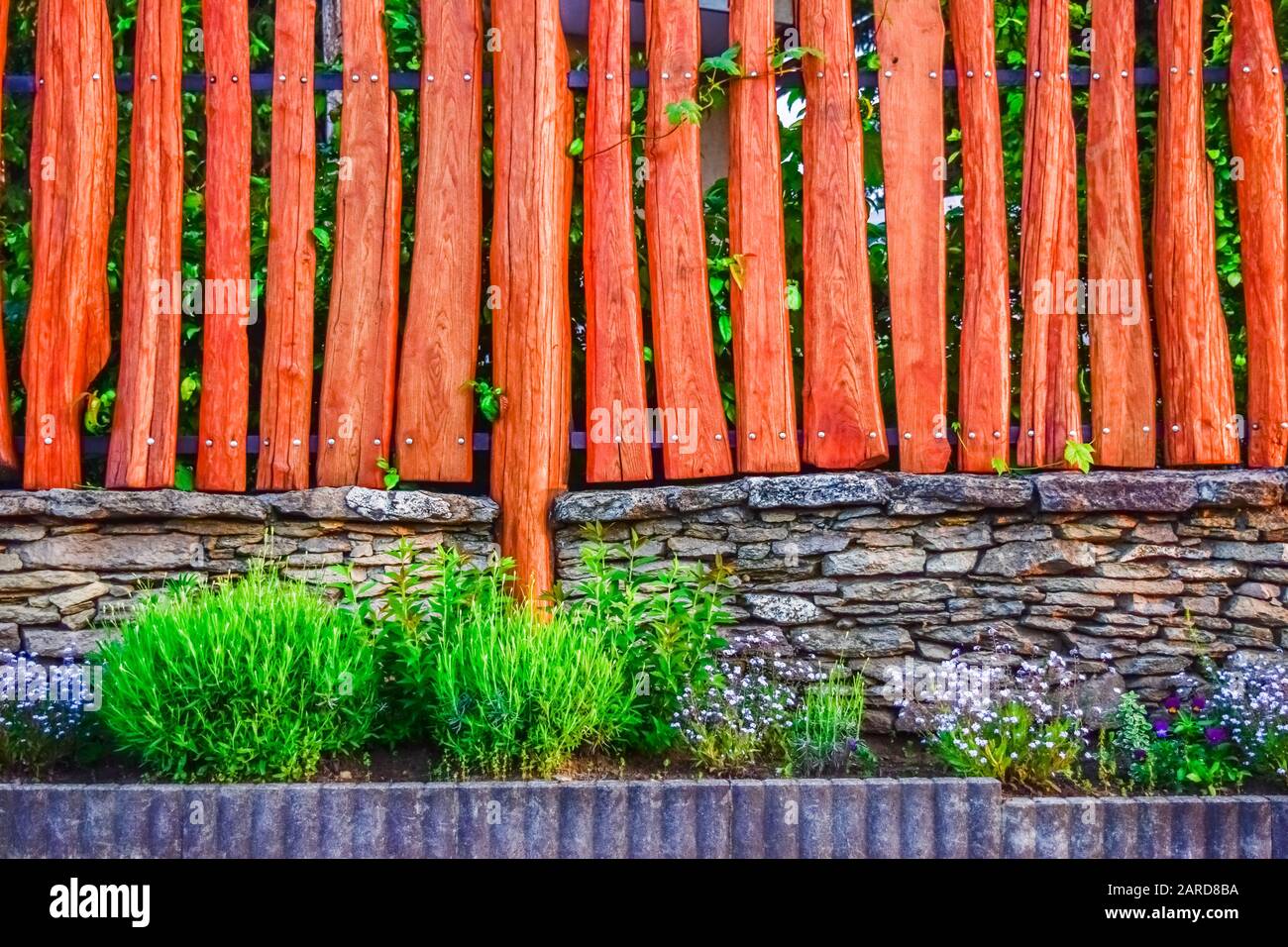 beautiful garden in front of the wooden fence Stock Photo