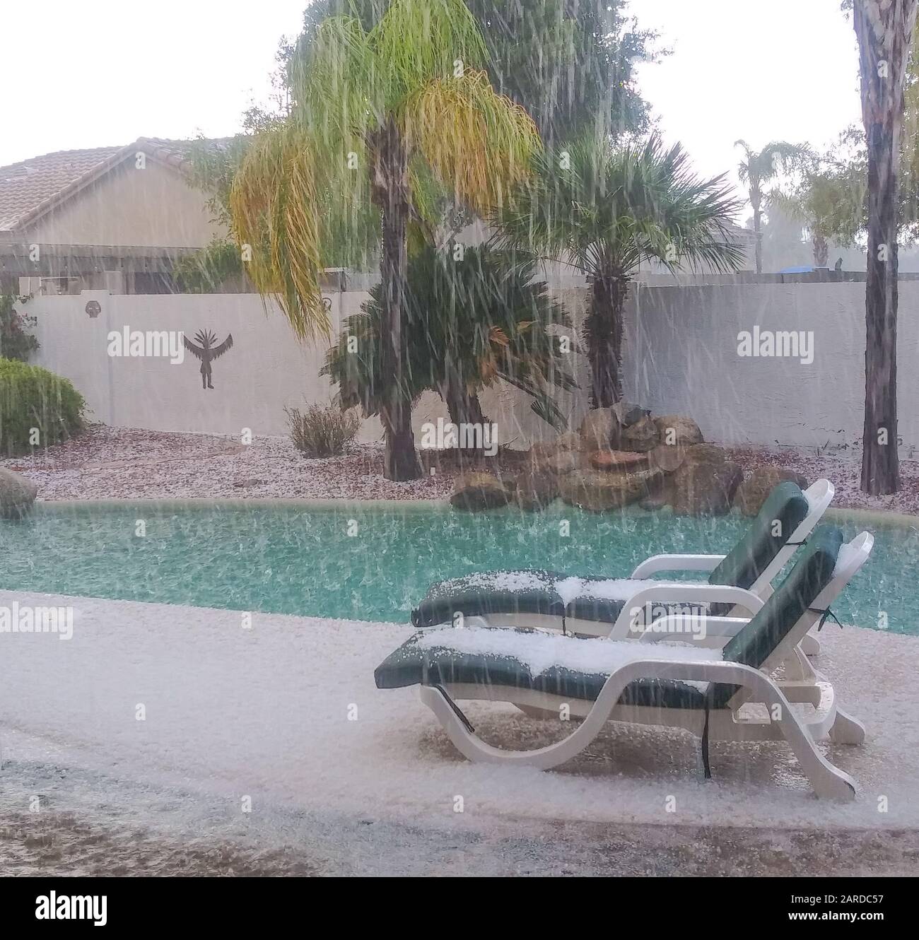 Heavy hail storm covers the lounge chairs and ground.  It also splashes into the pool. In Glendale, Maricopa County, Arizona USA. Stock Photo